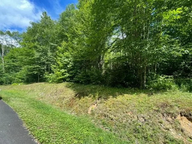 Lot 42 Linville River Lane, Linville, NC 28646 - #2