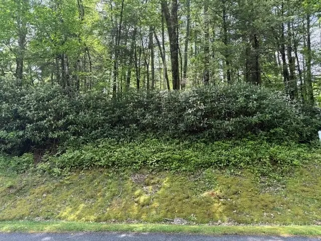 Lot 42 Linville River Lane, Linville, NC 28646 - #3