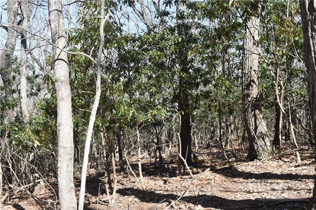 Lot 31 Hillside Lane, Jefferson, NC 28640 - #1