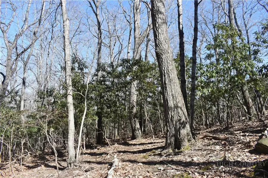 Lot 31 Hillside Lane, Jefferson, NC 28640 - #2