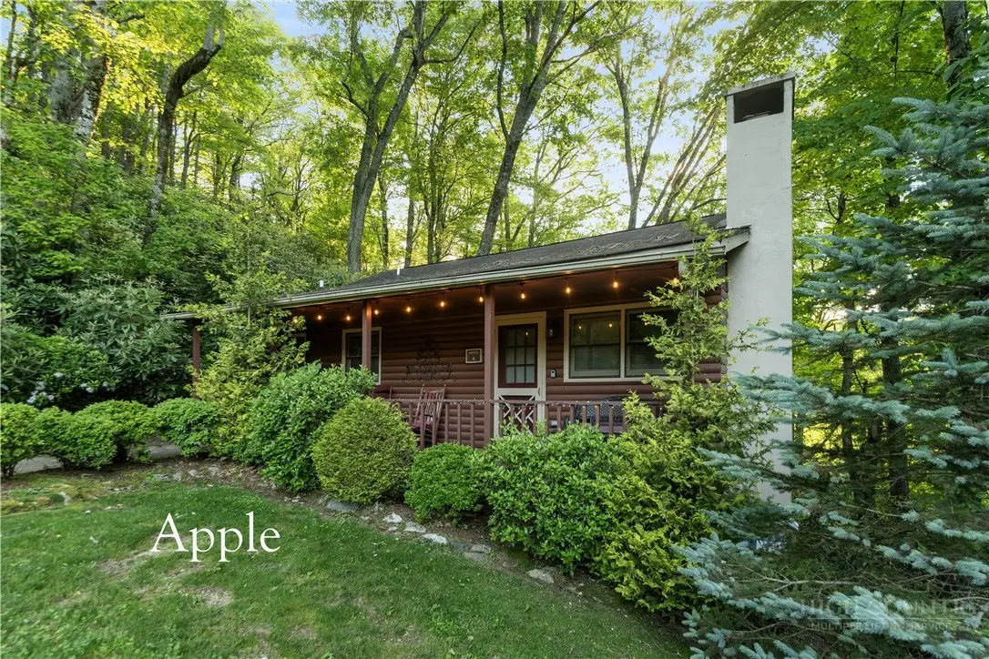 158 Alpine Village Drive #Cabins 1-6, Blowing Rock, NC 28605 - #1