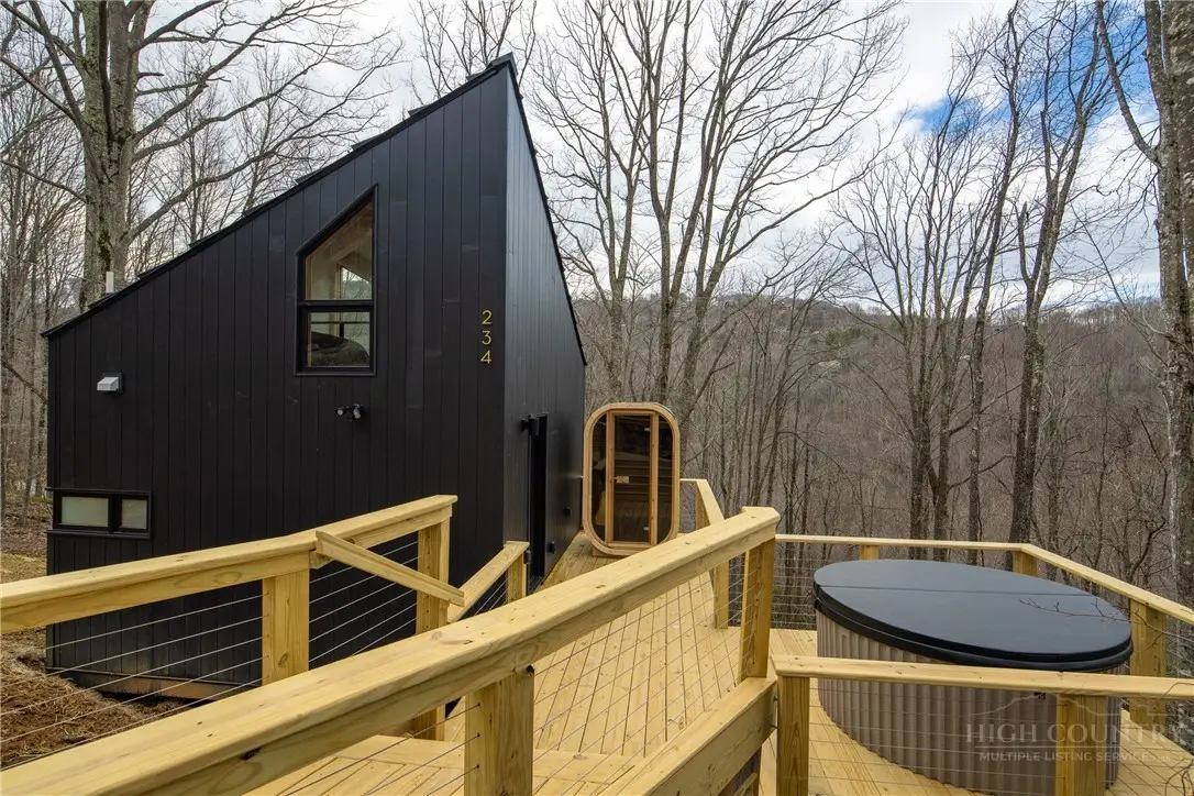 234 Wild Daisy Lane, Beech Mountain, NC 28604 - #1