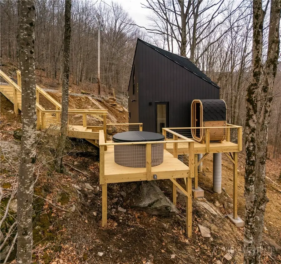 234 Wild Daisy Lane, Beech Mountain, NC 28604 - #3