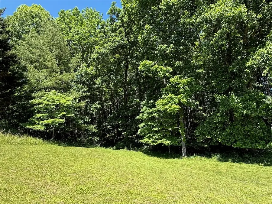 TBD Weaver Ford Road, Grassy Creek, NC 28631 - #3