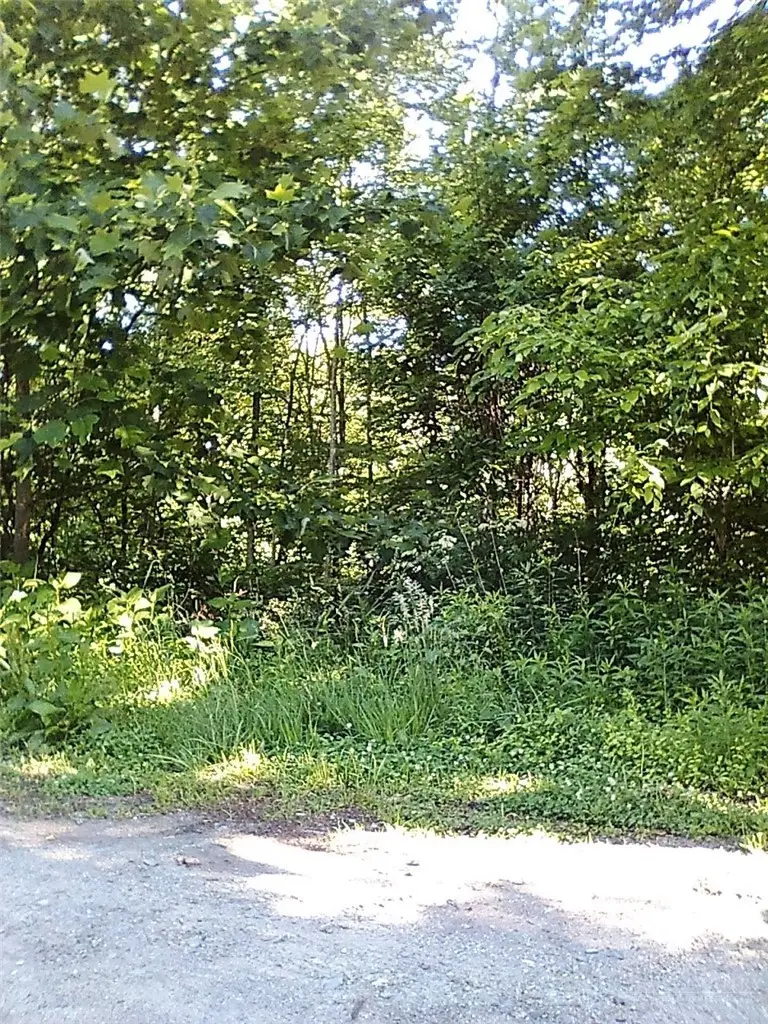 tbd N 321 Highway, Sugar Grove, NC 28679 - #1