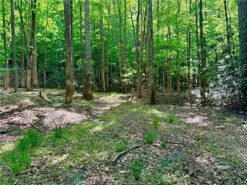 Lot 5A Buckeye Ridge Road, Beech Mountain, NC 28604 - #1