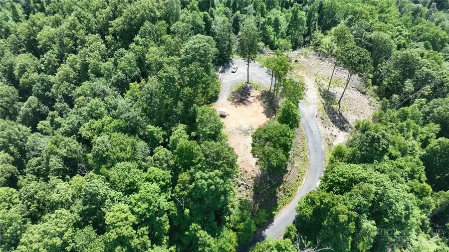 Lot 6 Pinnacle View, Elk Park, NC 28622 - #3