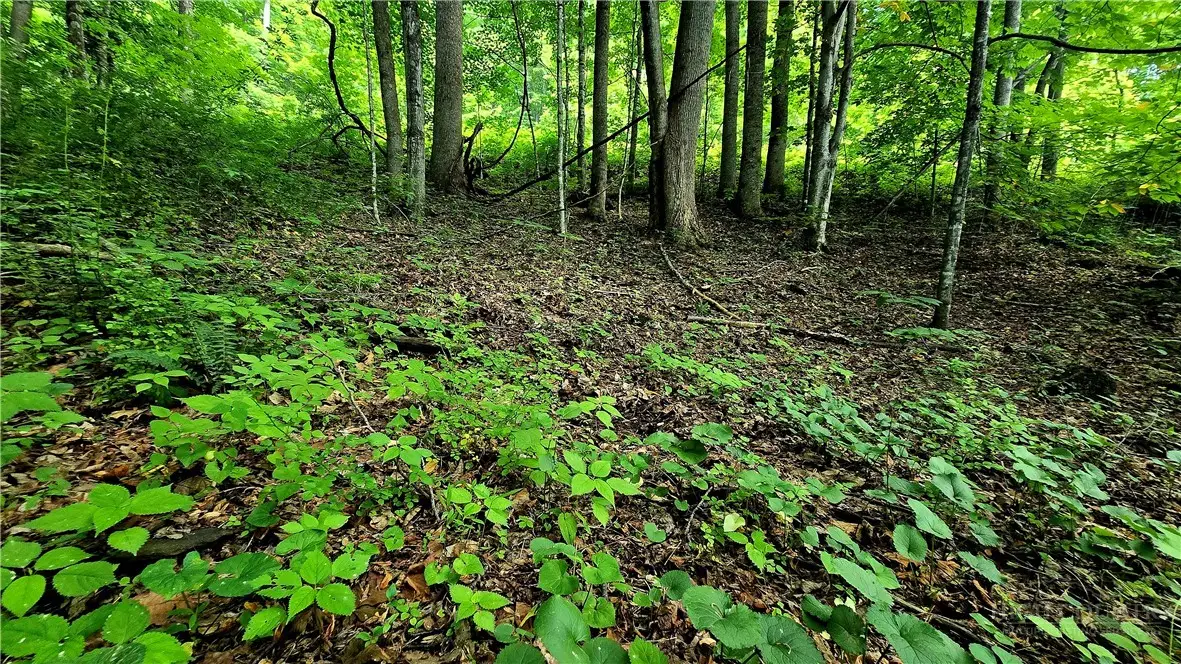 Lot 18 Elk Creek Mountain Parkway, Todd, NC 28684 - #1