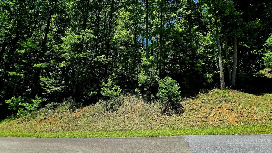 Lot 18 Elk Creek Mountain Parkway, Todd, NC 28684 - #2