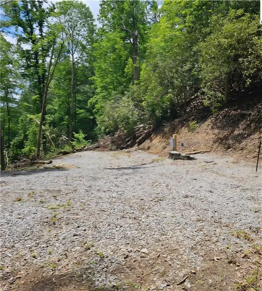 476 Locust Road, Newland, NC 28657 - #2