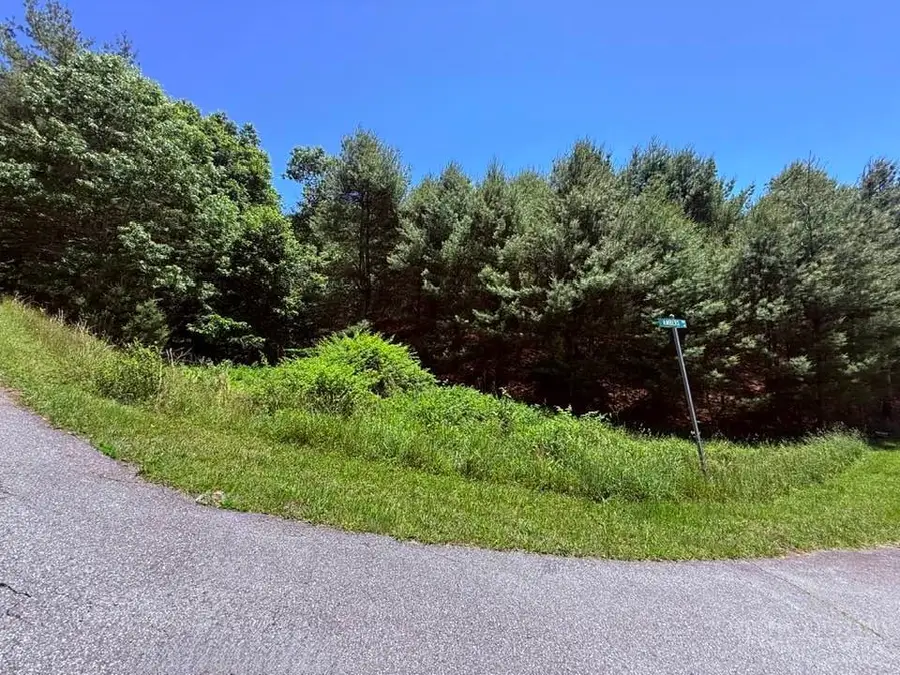 TBD Ridge View Trail, Fleetwood, NC 28626 - #2