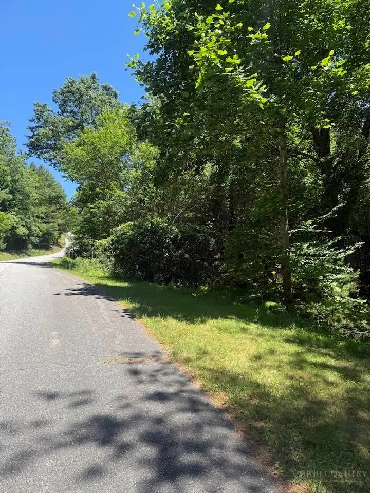 TBD Ridge View Trail, Fleetwood, NC 28626 - #3