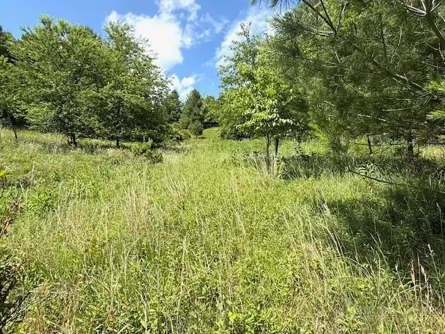 TBD Park View Drive, Jefferson, NC 28640 - #2