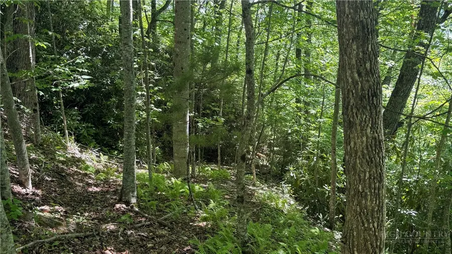TBD Newbiggin, Boone, NC 28607 - #2