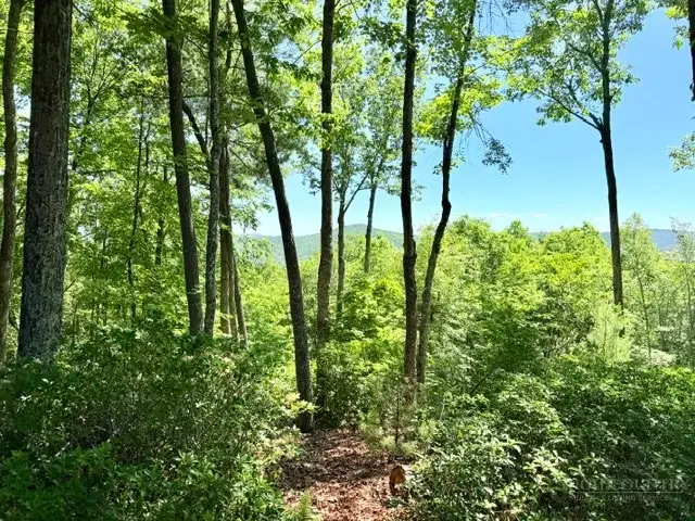 Lot 48 & 49 Davis Acres, West Jefferson, NC 28694 - #1