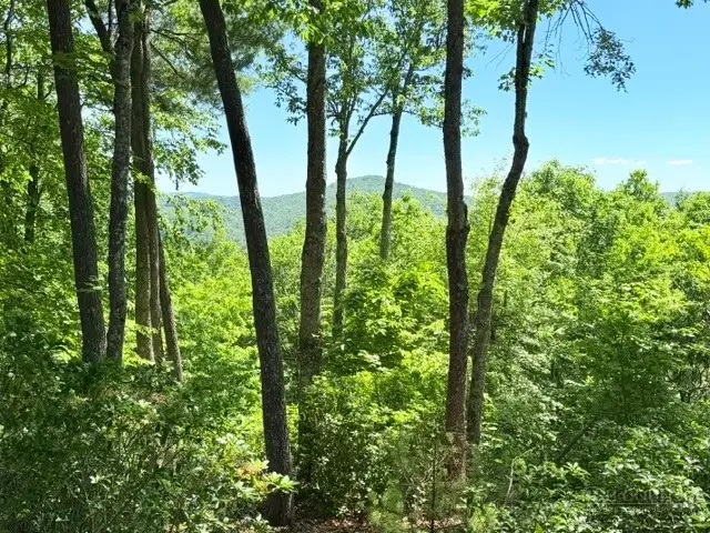 Lot 48 & 49 Davis Acres, West Jefferson, NC 28694 - #2