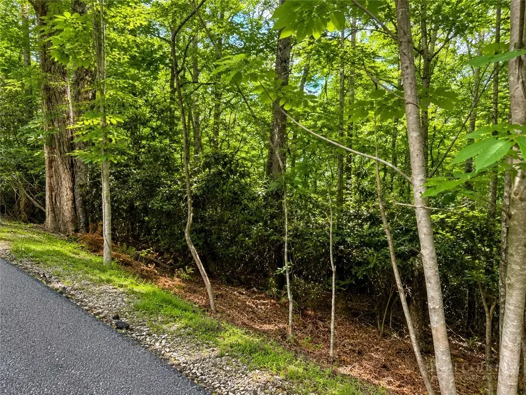 TBD Walnut Road, Boone, NC 28607 - #1