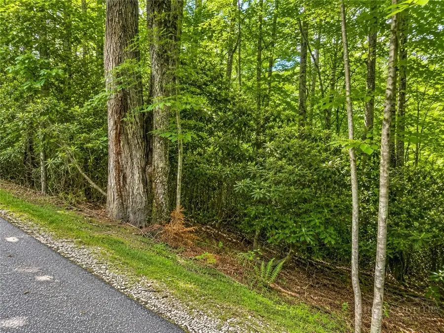TBD Walnut Road, Boone, NC 28607 - #2