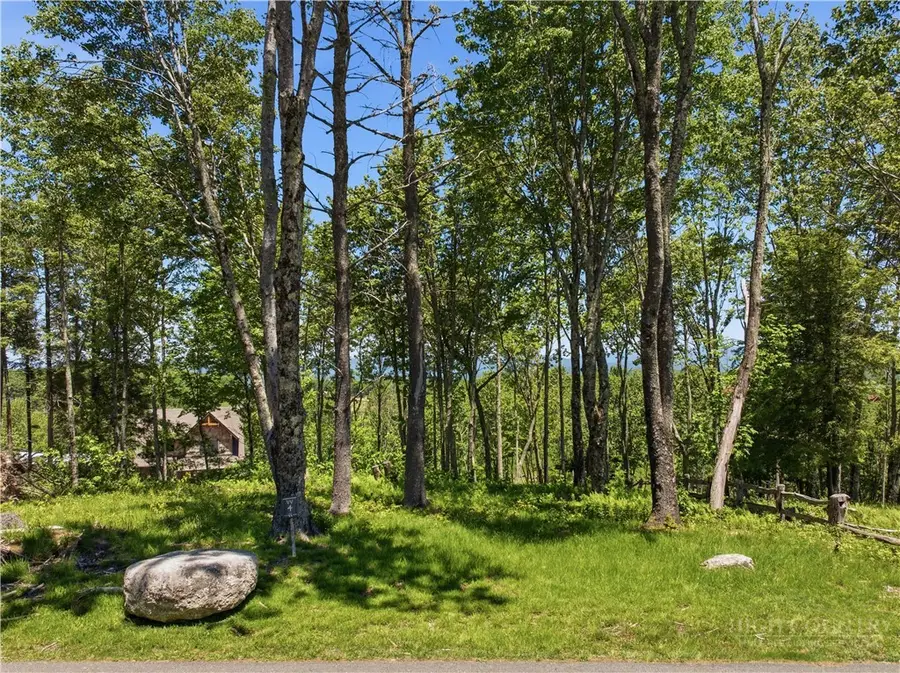 VV-4 Vineyard Trail, Banner Elk, NC 28604 - #2