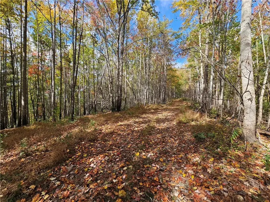Lot 63 Bent Bow Drive, Johns River, NC 28645 - #2
