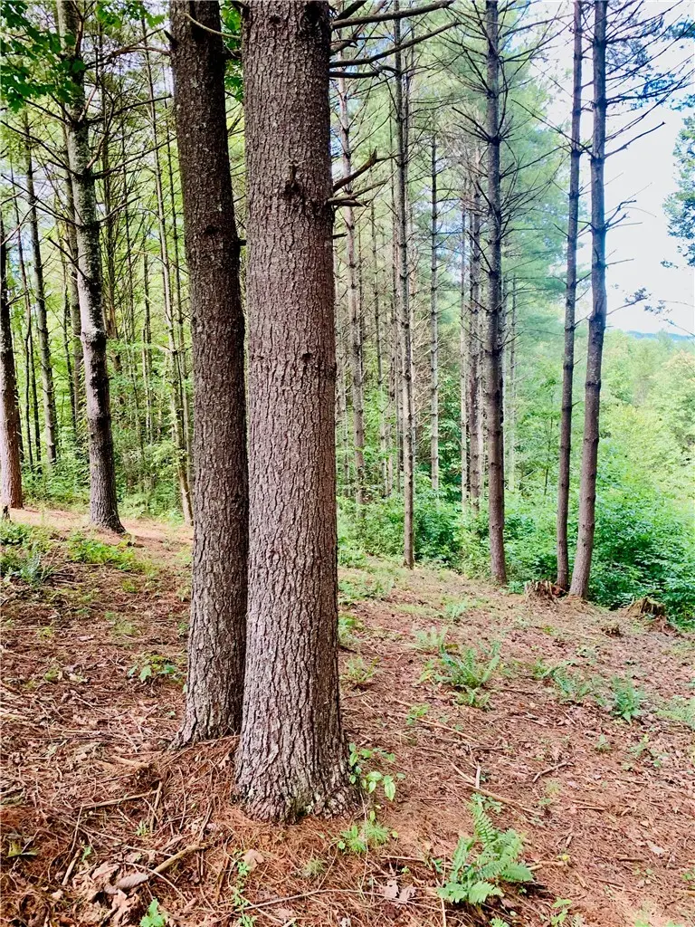 1.34 Acres - Lot 234 Waterfall Lane, Lenoir, NC 28645 - #2