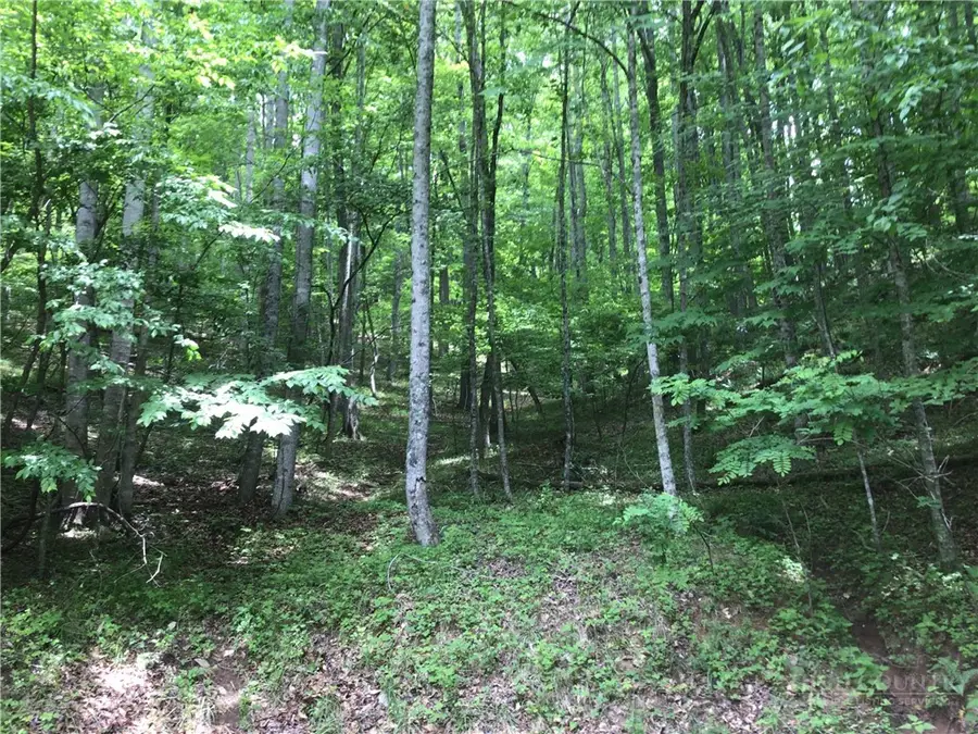 128 Hideaway, Crumpler, NC 28617 - #2