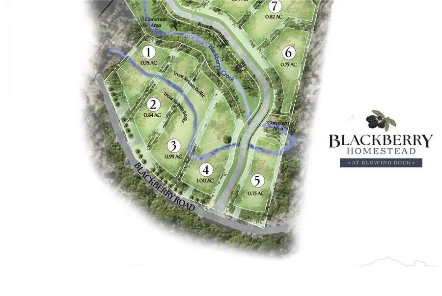 9391 Blackberry Road, Lenoir, NC 28645 - #2