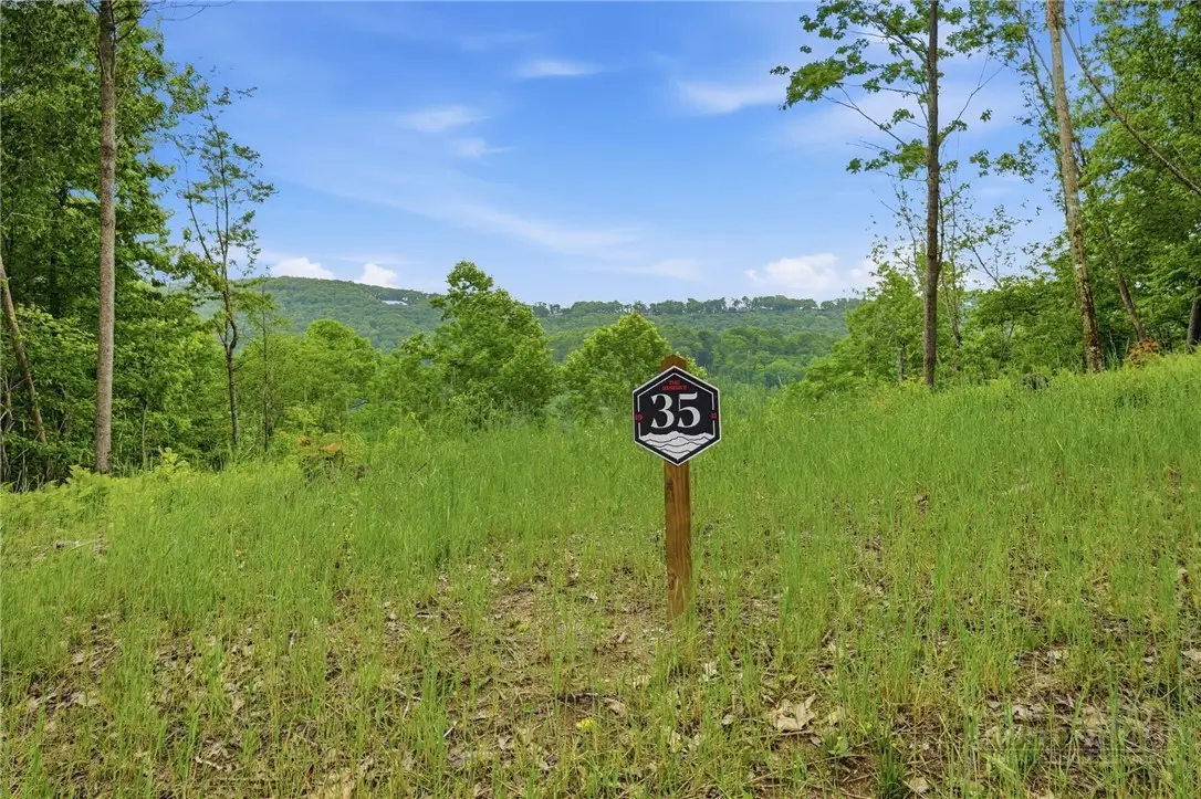 Lot 35 Little Tree Lane, Elk Park, NC 28622 - #1