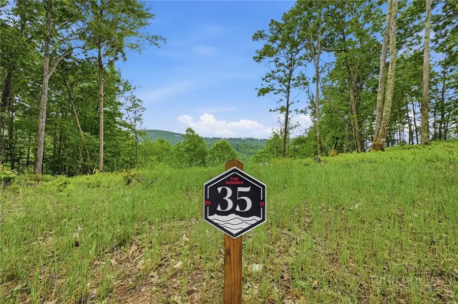 Lot 35 Little Tree Lane, Elk Park, NC 28622 - #2