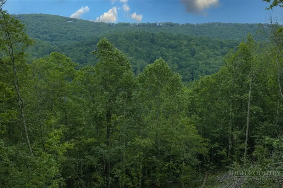 Lot 35 Little Tree Lane, Elk Park, NC 28622 - #3