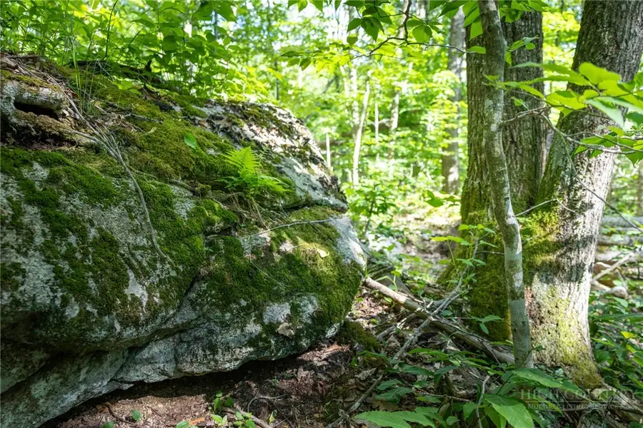 G14 Great Camp Trail, Banner Elk, NC 28604 - #2