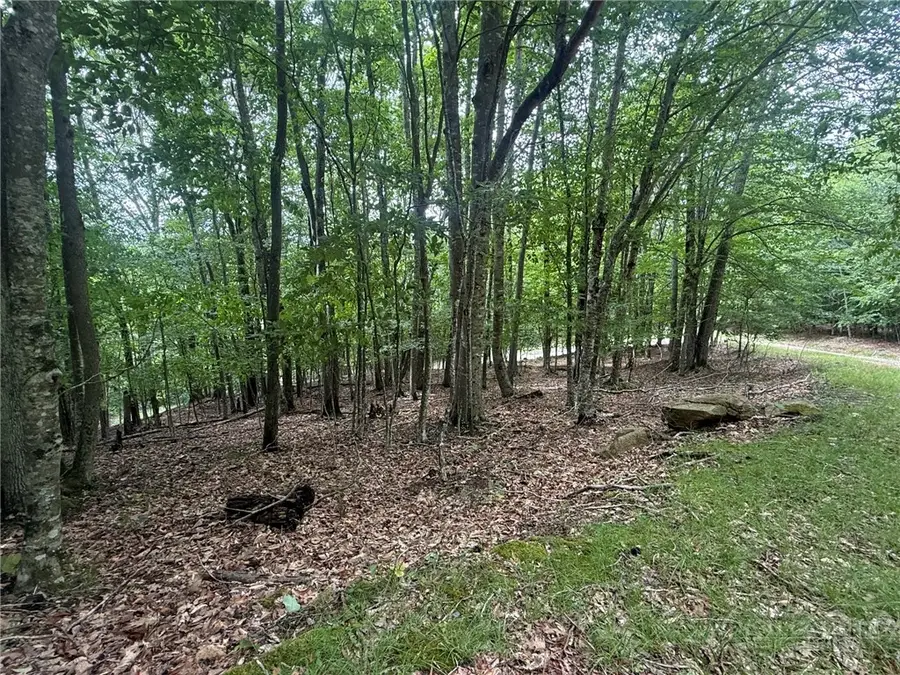 139 Red Fox Lane, Beech Mountain, NC 28604 - #2