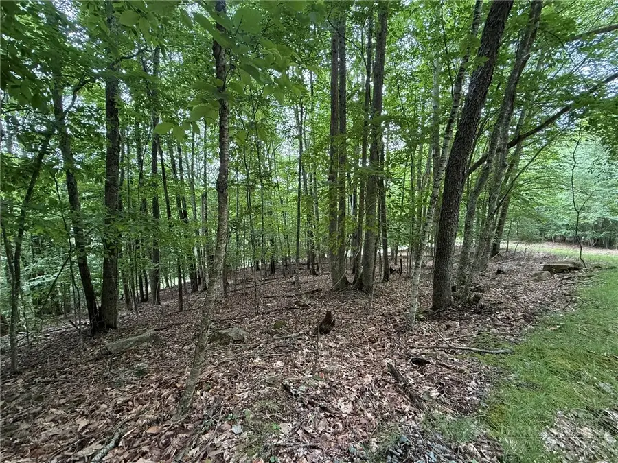 139 Red Fox Lane, Beech Mountain, NC 28604 - #3