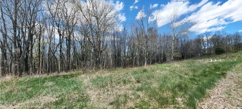 Lot 4 Crestwood Circle, Newland, NC 28657 - #1