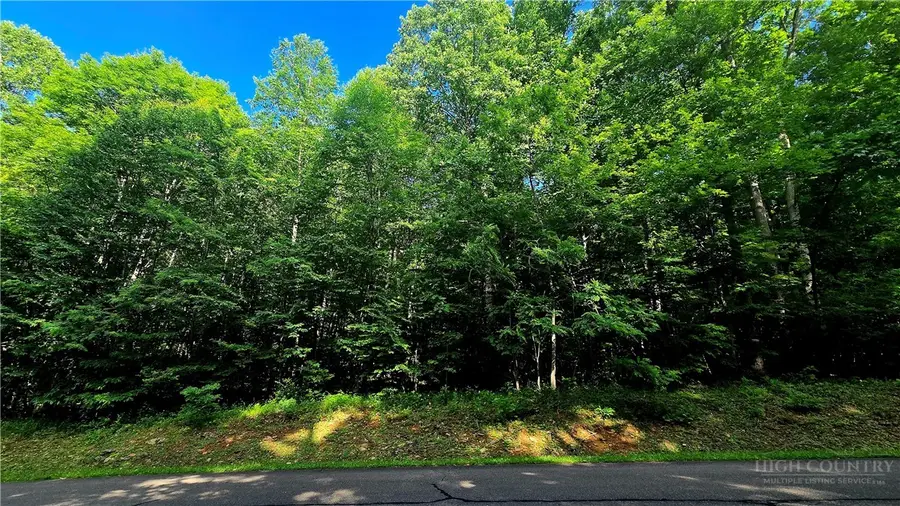 Lot 11 Elk Creek Mountain Prkwy, Todd, NC 28684 - #2