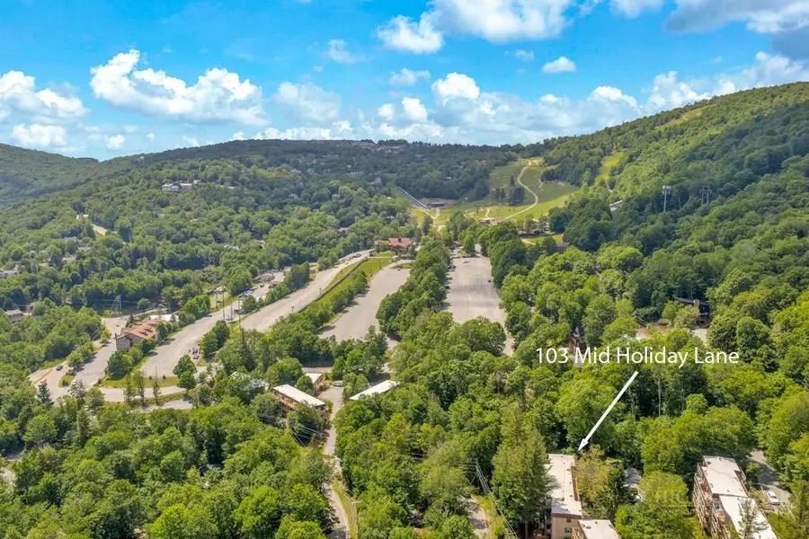 103 Mid Holiday Lane #112, Beech Mountain, NC 28604 - #2