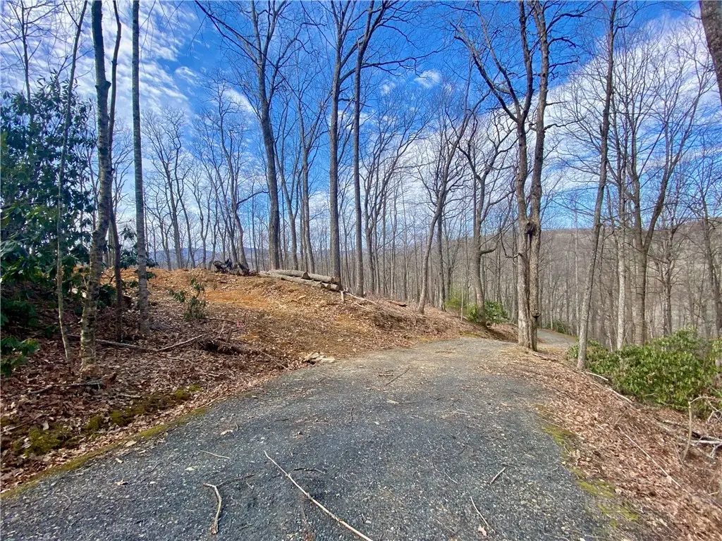 TBD Old Chestnut Mountain Road, Newland, NC 28657 - #1