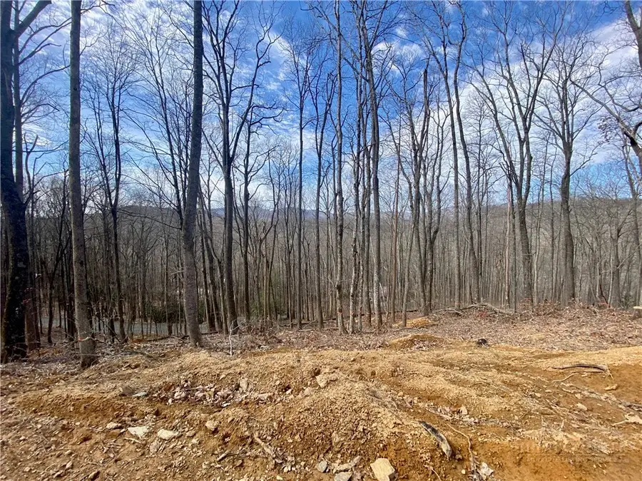 TBD Old Chestnut Mountain Road, Newland, NC 28657 - #2