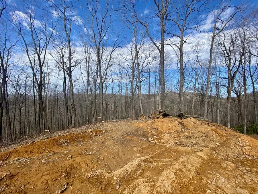 TBD Old Chestnut Mountain Road, Newland, NC 28657 - #3