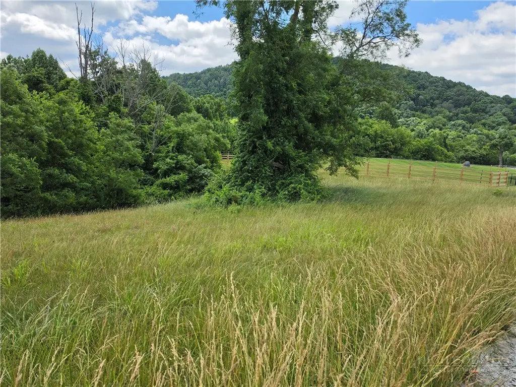Lot 4 Toms Knob Road #4, Prathers Creek, NC 28644 - #1