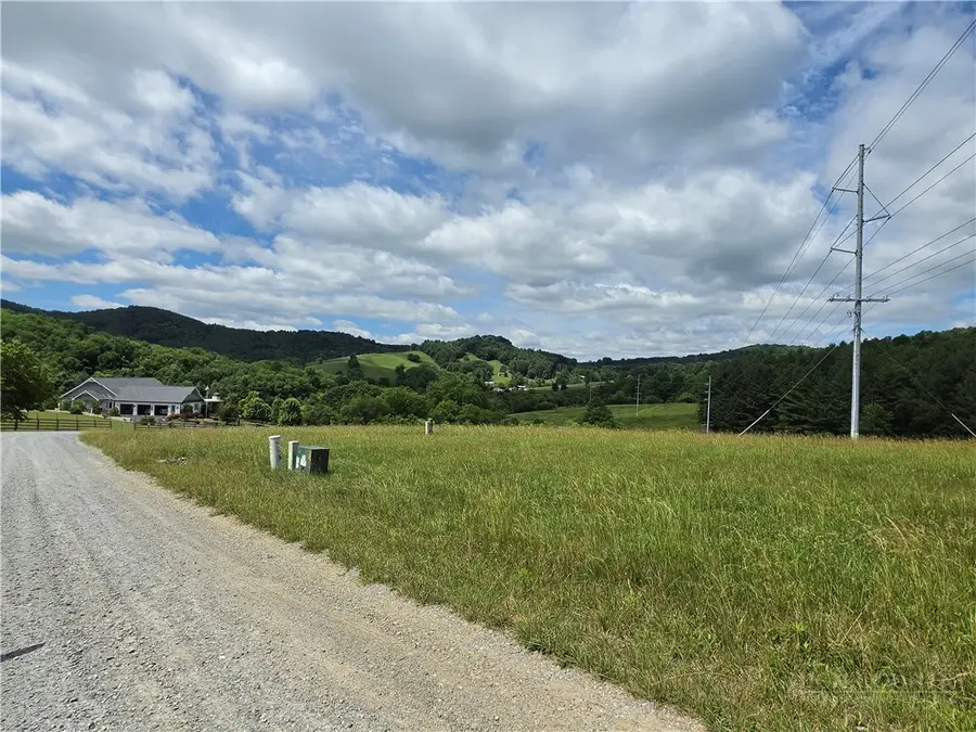 Lot 4 Toms Knob Road #4, Prathers Creek, NC 28644 - #3