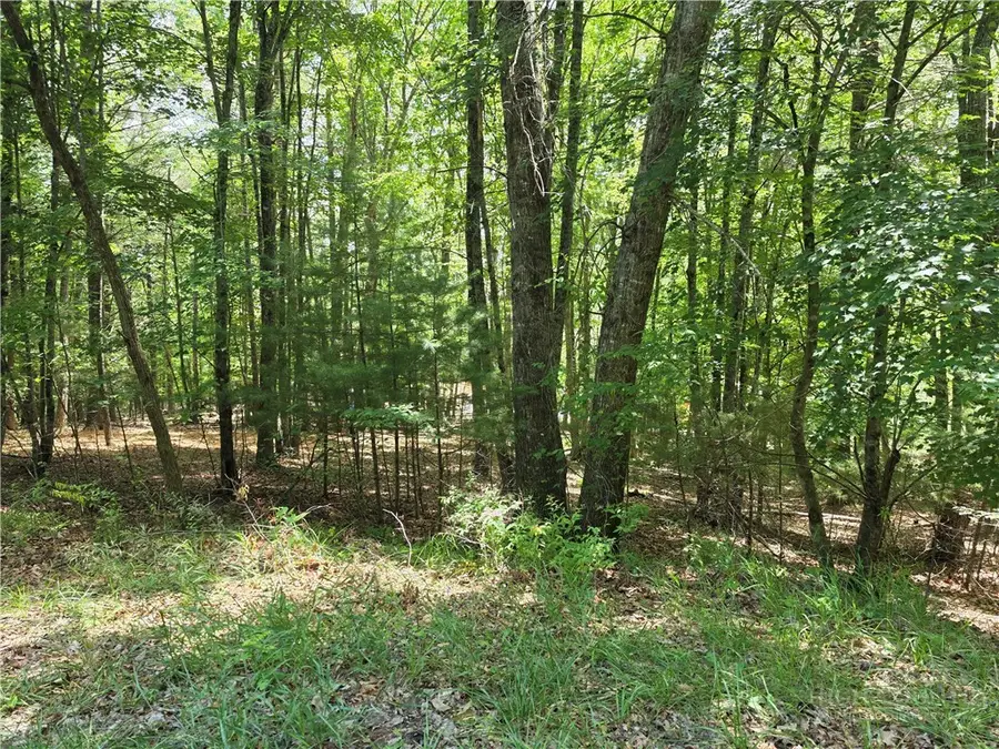 Lot 51 Toms Knob Road #1  51, Sparta, NC 28675 - #2