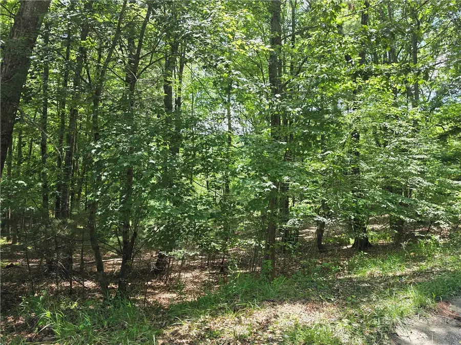 Lot 51 Toms Knob Road #1  51, Sparta, NC 28675 - #3