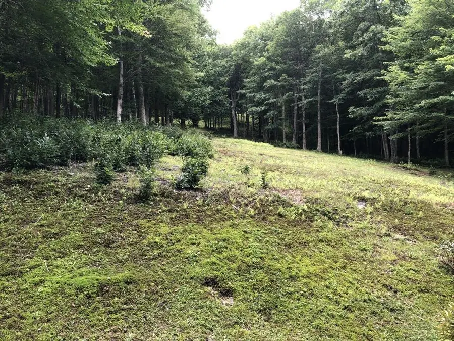 Lot 26 Rocky Parkway, Banner Elk, NC 28604 - #2