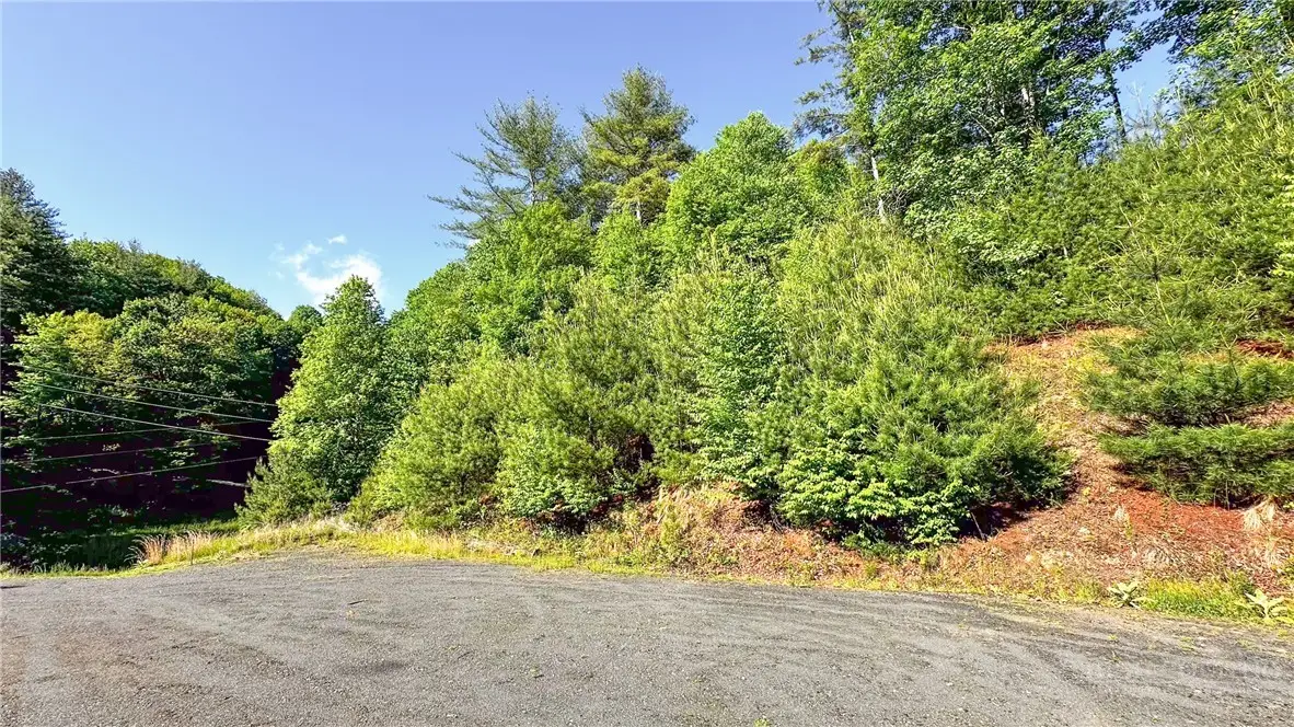 TBD-13 Peck Peak Road, Jefferson, NC 28640 - #1