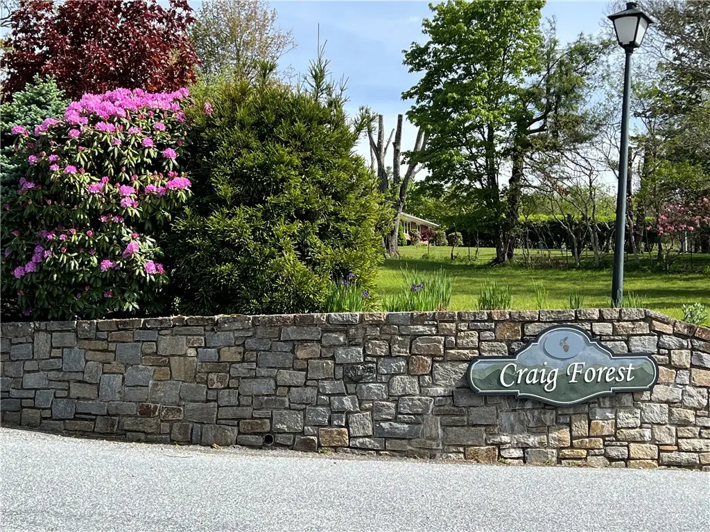 Lots 1, 3 & 5 Cora's Path, Blowing Rock, NC 28605 - #1