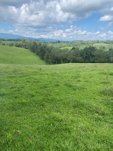 TBD Cornerstone Road, Independence, VA 24348 - #1