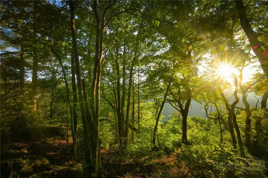 Lot EC-5 Eagle Crest Trail, Elk Park, NC 28622 - #2