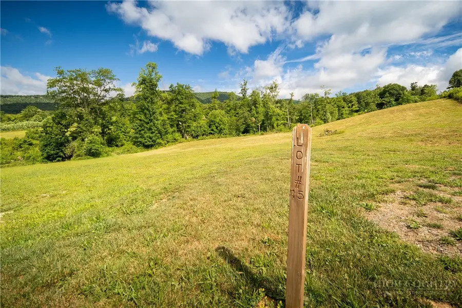 Lot 15(TBD) Cub Lane, Fleetwood, NC 28626 - #2