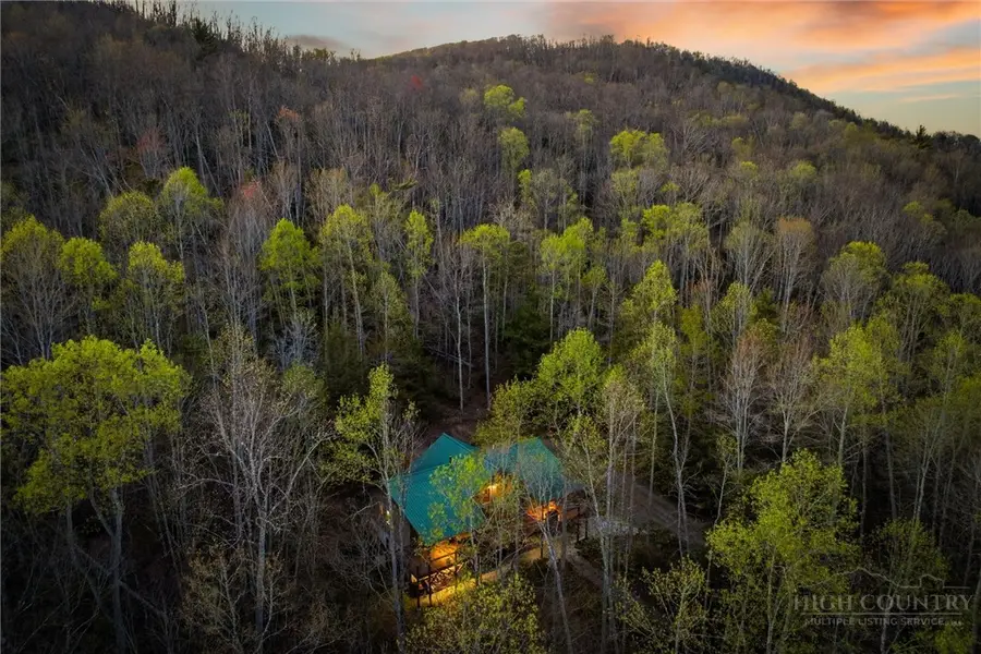 163 Bear Track Lane, Vilas, NC 28692 - #2
